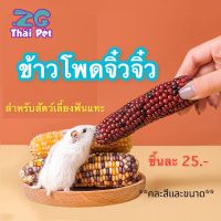 ข้าวโพดจิ๋วจิ๋ว ลับฟัน สำหรับสัตว์เลี้ยงฟันแทะทุกชนิด -คละสีและขนาดนะคะ