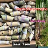 พันธุ์อ้อยสุพรรณบุรี50 น้ำหวานโตไว แตกกอเร็ว พร้อมปลูก ท่อนละ5บาท