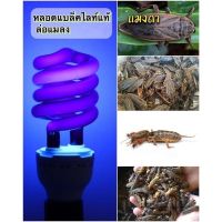 หลอดไฟ ล่อแมลง ขนาด 40W ต่อแบต12V BLACKLIGHT UVA