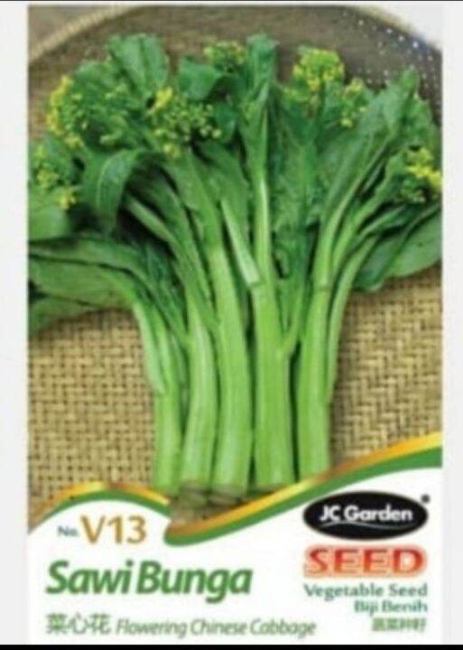 Jc Flowering Choy Sum Vegetable Seed Biji Benih Sayur Sawi Bunga 菜心花种子