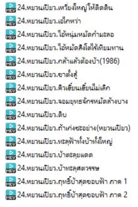 24-usb-หนังจีนยุค90-ชุดพระเอกหยวนเปียว-15เรื่อง-พากย์ไทย