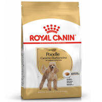 Royal Canin Poodle Adult [ขนาด 1.5kg รวม 1 ถุง] สำหรับสุนัขโต พันธุ์พุดเดิ้ล อายุ 10 เดือนขึ้นไป