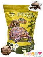 อาหารเต่า​บก​ G-PRO.GANZHU ขนาด​ 1KG.