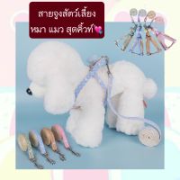 PE-386  สายจูงสัตว์เลี้ยง หมา แมว สุดคิ้วท์ สายจูงมีโบว์ น่ารัก ราคาถูก พร้อมส่ง??