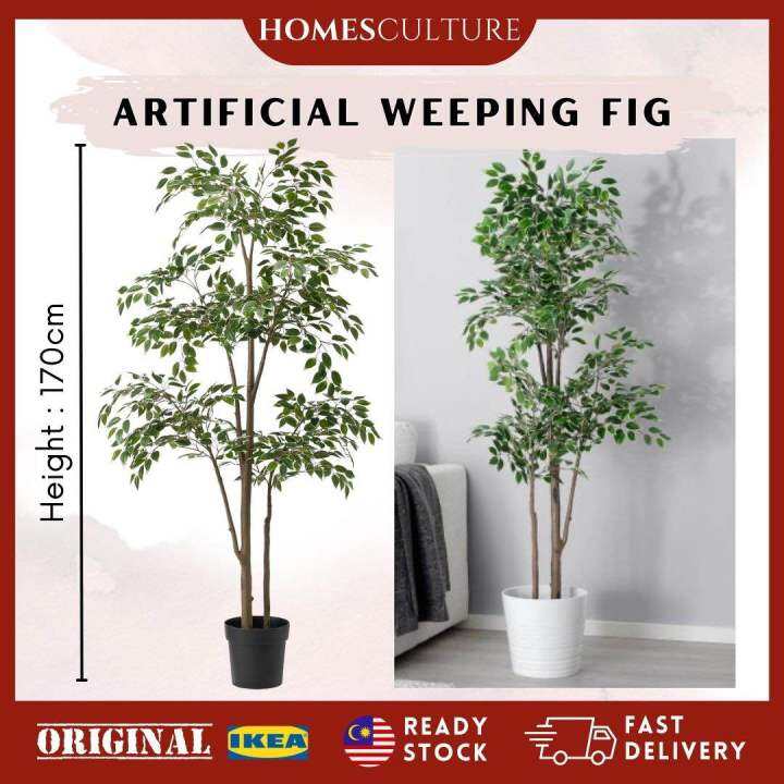 Artificial Weeping Fig Plant Premium Quality Weeping Fig Tree Lazada