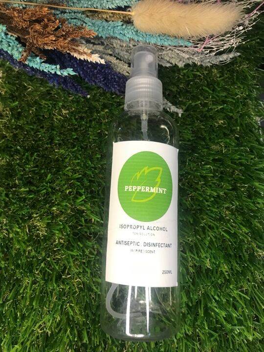 70 Isopropyl Alcohol 250ml Peppermint Lazada PH