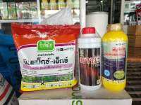 มีนแม็กซ์-เอ็กซ์+มานะ+2,4-ดี ชุดอาบอ้อย