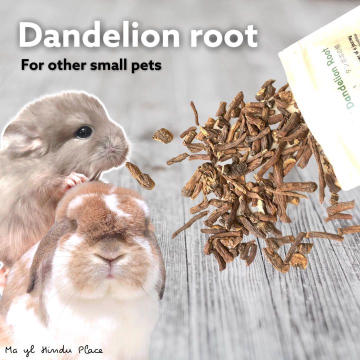 ขนมรากไม้กระต่าย-dandelion-root-รากไม้ธรรมชาติ-ยี่ห้อมายล-พร้อมส่งค่ะ