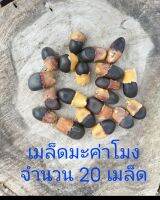 เมล็ดมะค่าโมง จำนวน 20 เมล็ด