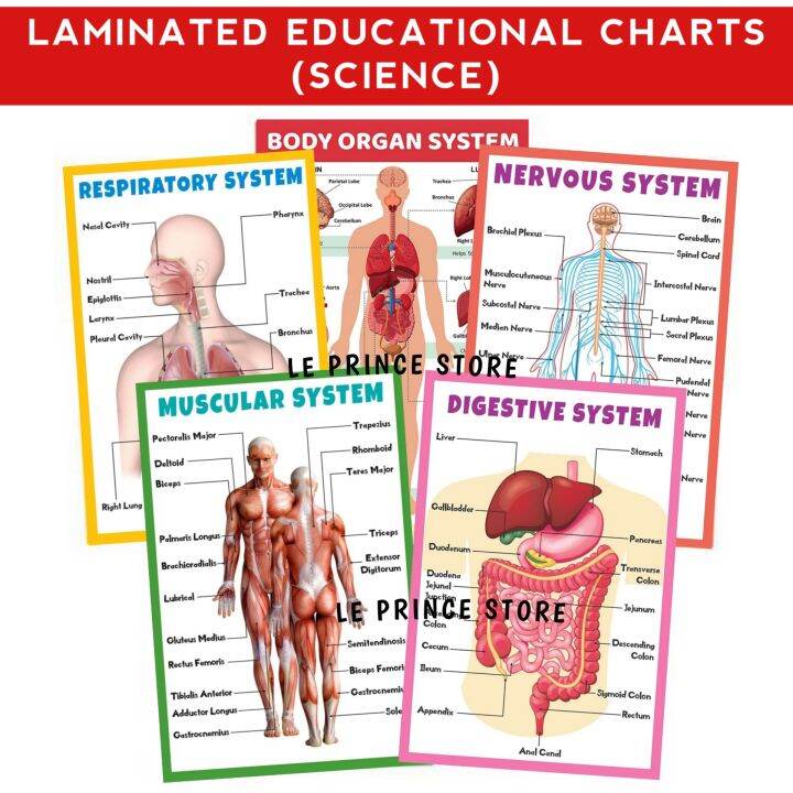 All About Science Educational Charts | A4 Size | Laminated Charts ...