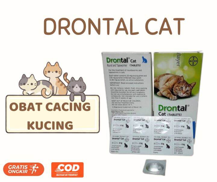Drontal cat obat cacing kucing kitten Lazada Indonesia