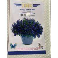 เมล็ดพันธุ์ โลบิเลีย บลู แชฟไฟร์ ( Lobelia - Blue Sapphire Seed ) บรรจุ 3000 เมล็ด