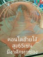 คอนโดดักกุ้ง-ปลาขนาดสูง65ซม.ตาข่ายสีส้ม2ซม.ยาว15ห่วงงาทุกช่อง