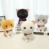 Ragdoll Kitty ตุ๊กตาแมว ตุ๊กตาผ้านุ่มๆ 24cm 4สี 4แบบ