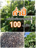 ถั่วปี(ถั่วพื้นเมืองภาคเหนือ)หวานกรอบไม่เหม็นเขียว100เมล็ด79บาท