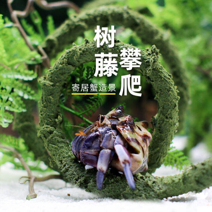 Hermit Crab Climbing Rattan Large and Small Size Landscape Climbing