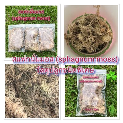 สแฟกนั่มมอส ( Sphagnum moss) แบ่งขาย เกรดพิเศษ เนื้อสวย