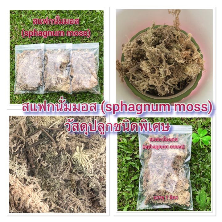 สแฟกนั่มมอส-sphagnum-moss-แบ่งขาย-เกรดพิเศษ-เนื้อสวย