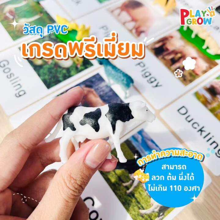 พร้อมส่ง-การ์ดคำศัพท์-โมเดลสัตว์-หมวดสัตว์ทั่วไป-1-ของเล่นเด็ก