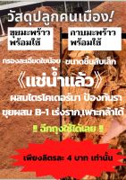 ขุยมะพร้าวพร้อมใช้ แช่น้ำแล้ว#กาบมะพร้าวแช่น้ำ พร้อมใช้ ราคาถูก #ขุยมะพร้าวล้างสาร  กาบมะพร้าวล้างสาร