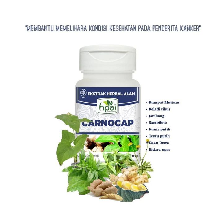 Carnocap HNI HPAI Herbal untuk Tumor Produk Asli | Lazada Indonesia