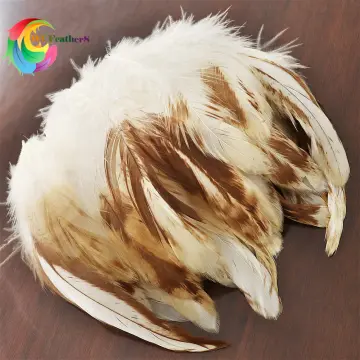 Coloured fake feathers