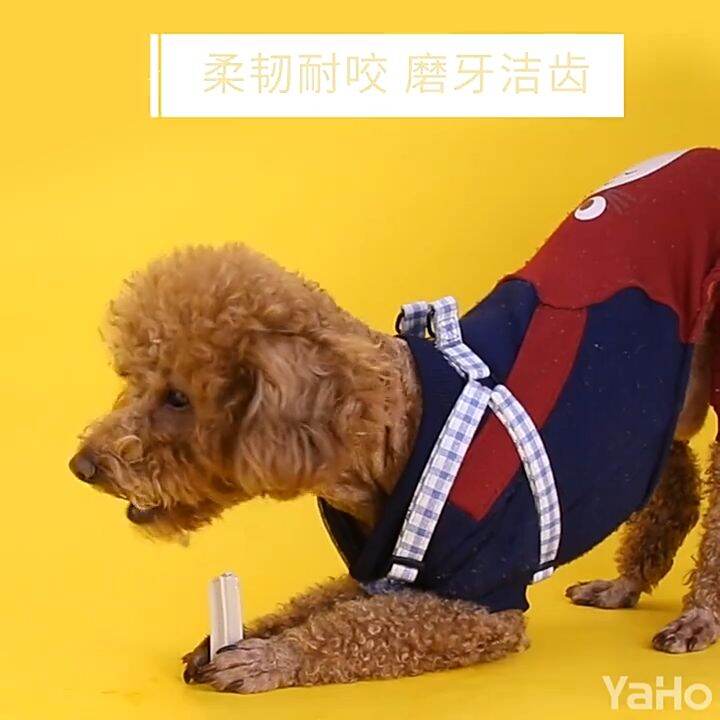 Dog snack tooth grinding stick pet food tooth grinding pet snack 210g