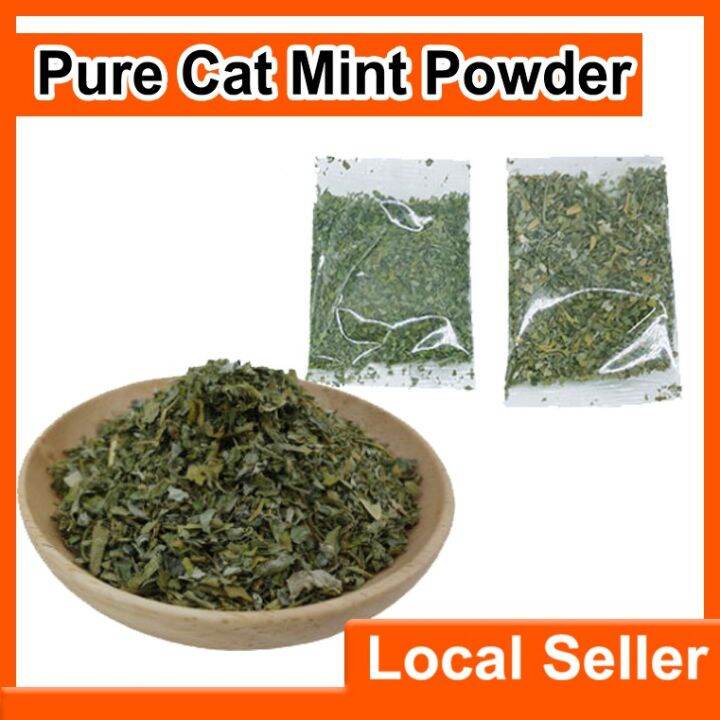 pure cat mint powder cat nip 2g Lazada