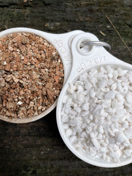 เพอไลท์-เวอมิคูไลท์-perlite-vermiculite-วัสดุปลูก-ดินปลูก-ผสมดินปลูก