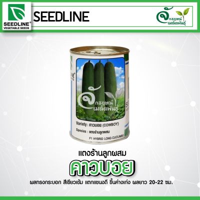 แตงร้านพันธุ์ใหม่ 🥒 “ คาวบอย “ 🥒 ตรา seedline ขนาด100กรัม