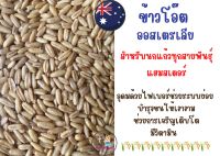 ข้าวโอ๊ต  Australia  อาหารเสริมสำหรับนก  **แบ่งขาย 1 กิโลกรัม