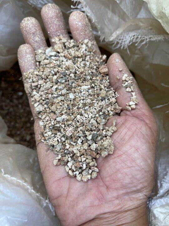 เวอร์มิคูไลท์-vermiculite-ขนาดบรรจุ-4-ลิตร-5-8mm-สินค้าพร้อมส่ง-ส่วนผสมดินปลูกคุณภาพสูง-งามไส้ออแกนิก