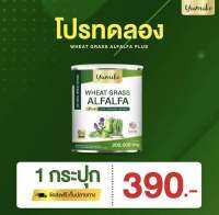 ?เซตทดลอง 1 กระปุก ?ส่งฟรี ‼️ ยูมิโกะ วีทกลาส อัลฟาฟ่า คลอโรฟิลล์ ไฟเบอร์ ดีท็อกซ์ ล้างลำไส้ ขับถ่ายง่าย ขนาดจัมโบ้ 200 กรัม