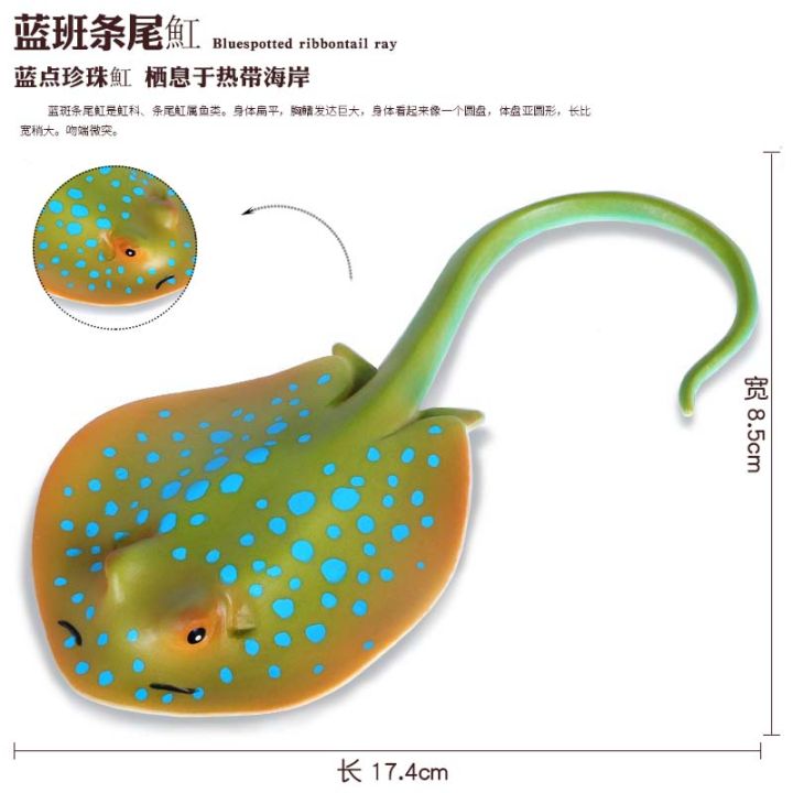 โมเดลสัตว์ทะเลจำลองของเล่นปลากระเบนราหูปลากะพงปลากะพงปลากะพงของขวัญเสริมทักษะการเรียนรู้วิทยาศาสตร์สำหรับเด็ก
