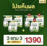 ?3 แถม 3 ?ส่งฟรี ‼️ ยูมิโกะ วีทกลาส อัลฟาฟ่า คลอโรฟิลล์ ไฟเบอร์ ดีท็อกซ์ ล้างลำไส้ ขับถ่ายง่าย ขนาดจัมโบ้ 200 กรัม