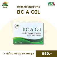 BC A Oil