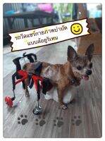 วีลแชร์สุนัข แมว  สำหรับพิการขาหลัง ขนาดไซส์ XS. สัตว์เลี้ยง รถเข็น wheelchair dog **ติดต่อร้านค้าก่อนสั่งซื้อ**โดยสัตวแพทย์