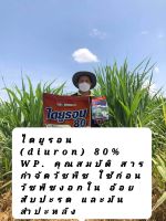 ไดยูรอน (diuron) 80% WP. คุณสมบัติ สารกำจัดวัชพืช ใช้ก่อนวัชพืชงอก (pre-emergence)ใน อ้อย สับปะรด และมันสำปะหลัง เพื่อกำจัดวัชพืชประเภทใบแคบ เช่น หญ้าปากควาย หญ้าตีนกา และหญ้าตีนนก และวัชพืชประเภทใบกว้าง เช่น ผักเบี้ยหิน ผักเสี้ยนผี สะอึก จิงจ้อ และสาบม่ว