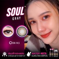 Soul gray by winks สีเทาตาโตลายฮิต