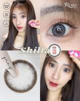 Shilla gray Roze 14.8 เทาขอบตาหวาน