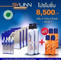 SYLINN : โทนิค 12 ขวด แถมฟรี แชมพูสระผม 2 ขวด