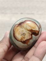 ? โอเชี่ยน แจสเปอร์  ( Ocean Jasper ) ? ?
?