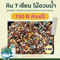 หิน 7 เซียน 3กิโล แถมกระถาง 2นิ้ว 10ใบ