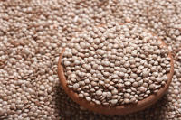 ถั่วเลนทิลดำ 1000 กรัม Black Lentil (Black Masoor Dal)