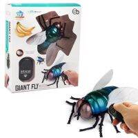 แมลงวันบังคับ GIANT FLY