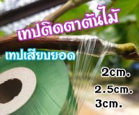 เทปติดตาต้นไม้ เทปเสียบยอด เทปพันกิ่ง ขนาด2cm-2.5cm-3cm ยาว100m.