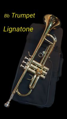 trumpet lignatone