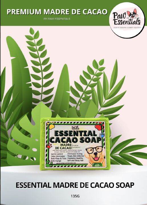 Essential Madre de Cacao Soap Lazada PH