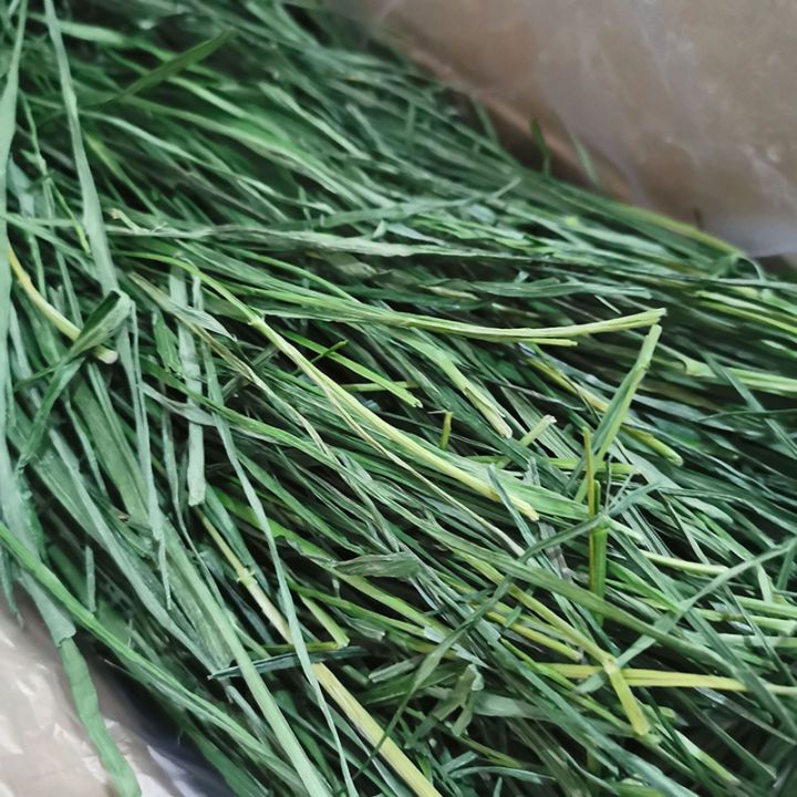 South Titi Grass Tender Seedlings North Titi Moses Dried Grass Leaves