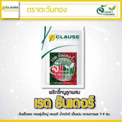 CLAUSE ตราตะวันทอง พริกขี้หนู สายพันธุ์ลูกผสม เรด ธันเดอร์  (HOT PEPPER Red Thunder F1)